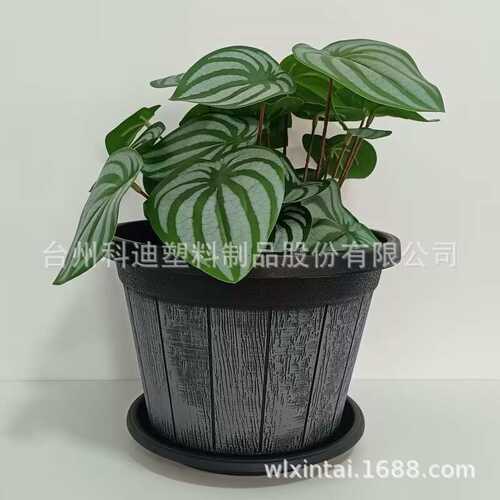 工厂直销KD7111SN刷漆塑料花盆木桶花盆商场酒店摆设庭院种植盆
