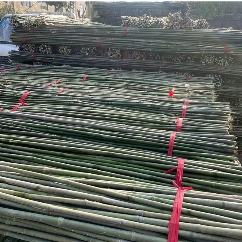 竹杆菜园搭架杆豆角黄瓜西红柿支架杆辣椒架子超硬植物爬藤旗杆