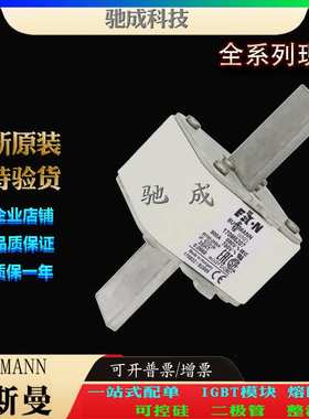 巴斯曼170M6207 170M6208 170M6209 长期 出厂价格 快熔保险丝