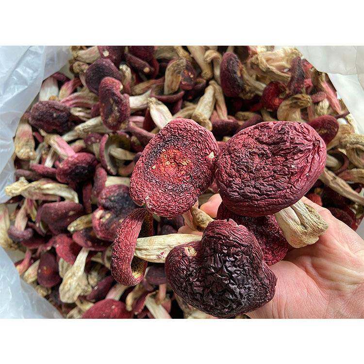 2025年云南特产食用菌红菇中菇小菇食用大红菌挑选风干菌菇