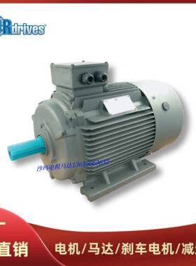 意大利DRdrives电机马达电动机TS71B480B490L4100LA摩铎利电机