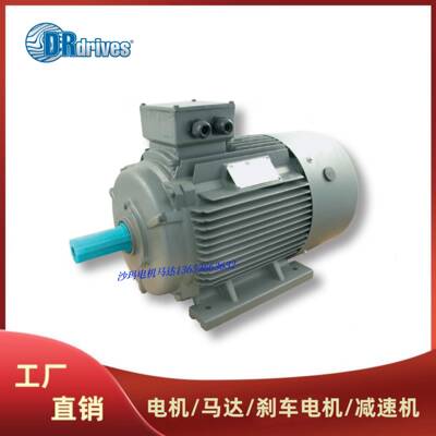 意大利DRdrives电机马达电动机TS71B480B490L4100LA摩铎利电机