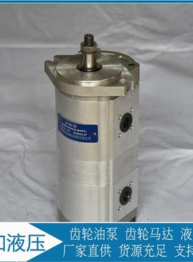 CBKP32-BF63合肥长源齿轮泵CBKP32-BF100