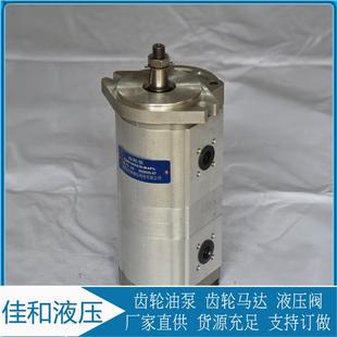 CBKP32 BF100 BF63合肥长源齿轮泵CBKP32