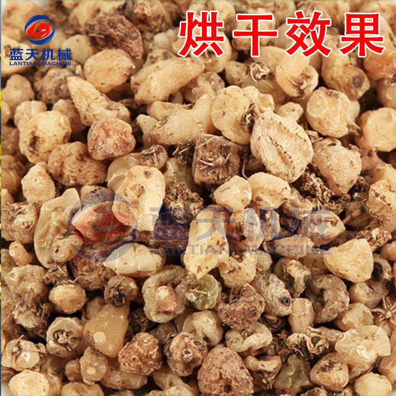 山茨菇泥冰子材TND烘干房金灯花烧白毛菇药颗粒烘烤机 毛慈菇 烘