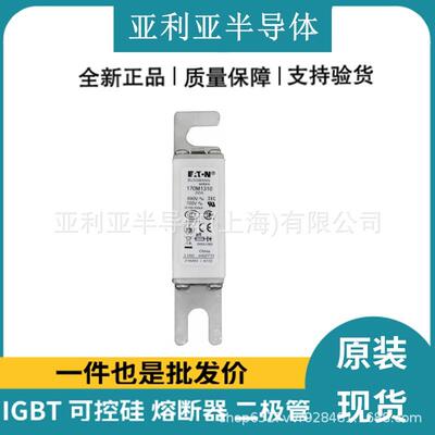 170M1310 170M1311 快速熔断器 低压熔断器 电子元器件 原厂原标