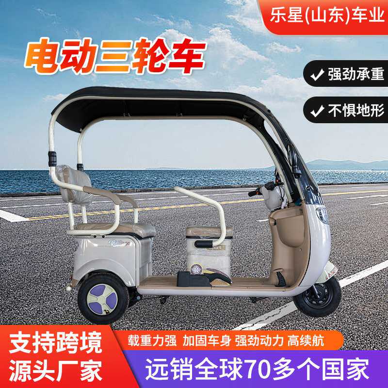 跨境带棚电动三轮车双排座成人休闲代步车大功率客货两用电瓶车