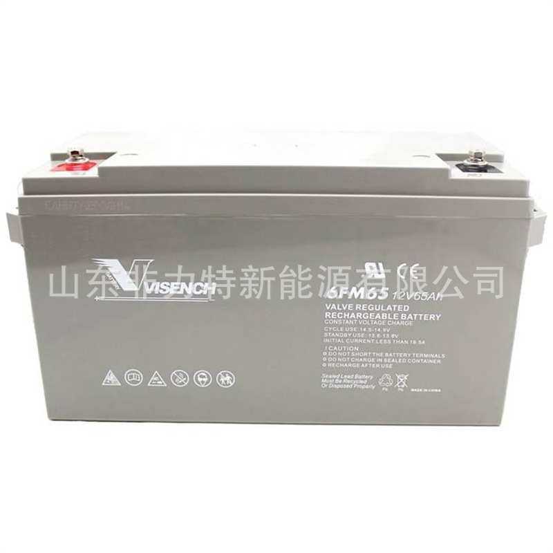 VISION威神蓄电池6FM55 12V55AH UPS后备应急电源 EPS直流屏