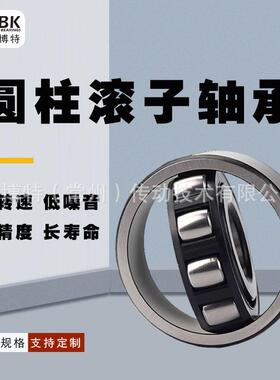 德国KBTBK进口圆柱滚子轴承N219 N220 N221 N222EM 铜保持架