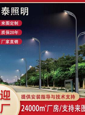 双头市电路灯6-12米LED路灯厂家直销热镀锌防水路灯