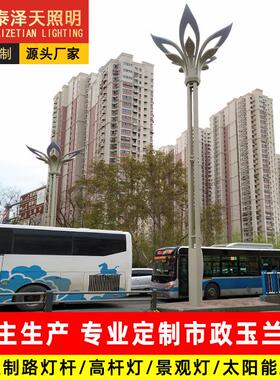 厂家定制led室外大型景观灯八叉九火市政道路公园景区照明玉兰灯