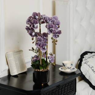 仿真花蝴蝶兰盆栽带花剑米歇尔红色兰花花瓣结婚高档仿真成品造型