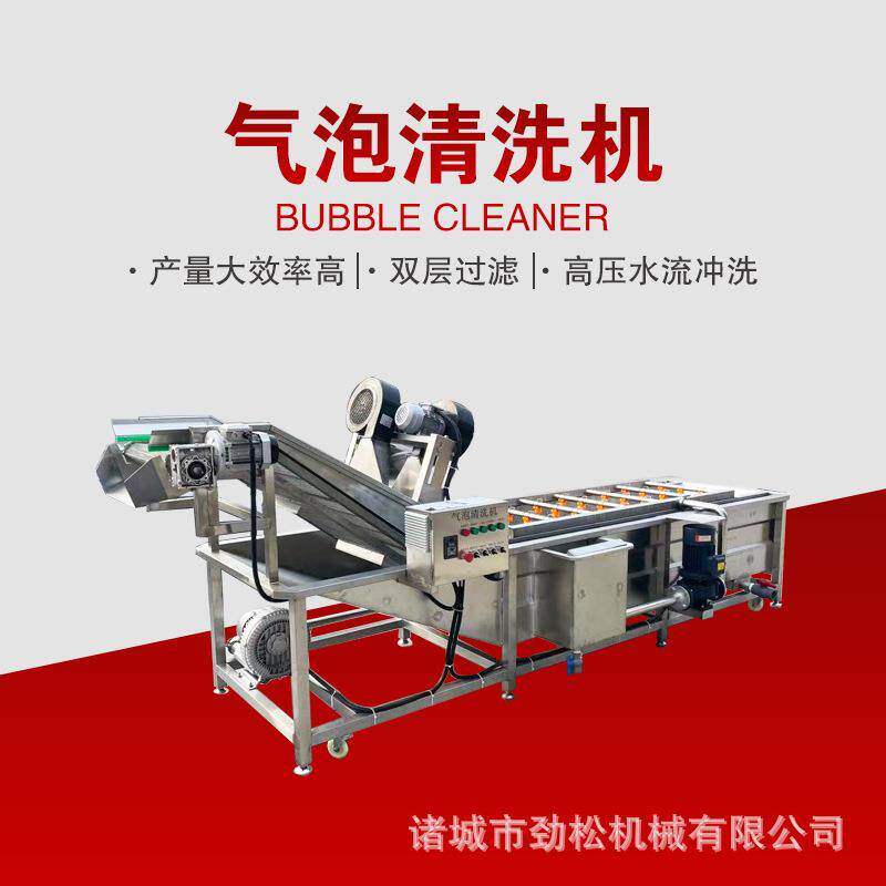 商用车厘子豆角气泡清洗机圣女果蓝莓香菇高压喷淋洗菜机洗果机