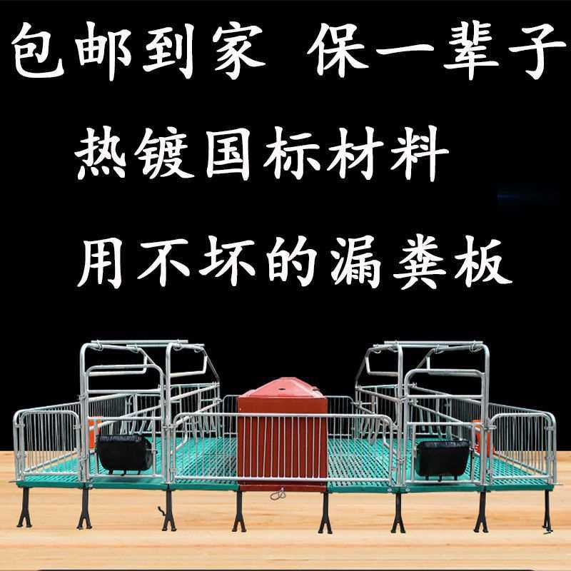 母猪产床热镀锌双体产床单体产床老母猪下崽分娩猪仔保育一体产床