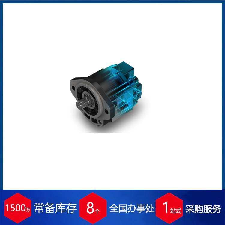 供应意大利casspa齿轮泵Polaris [PL]