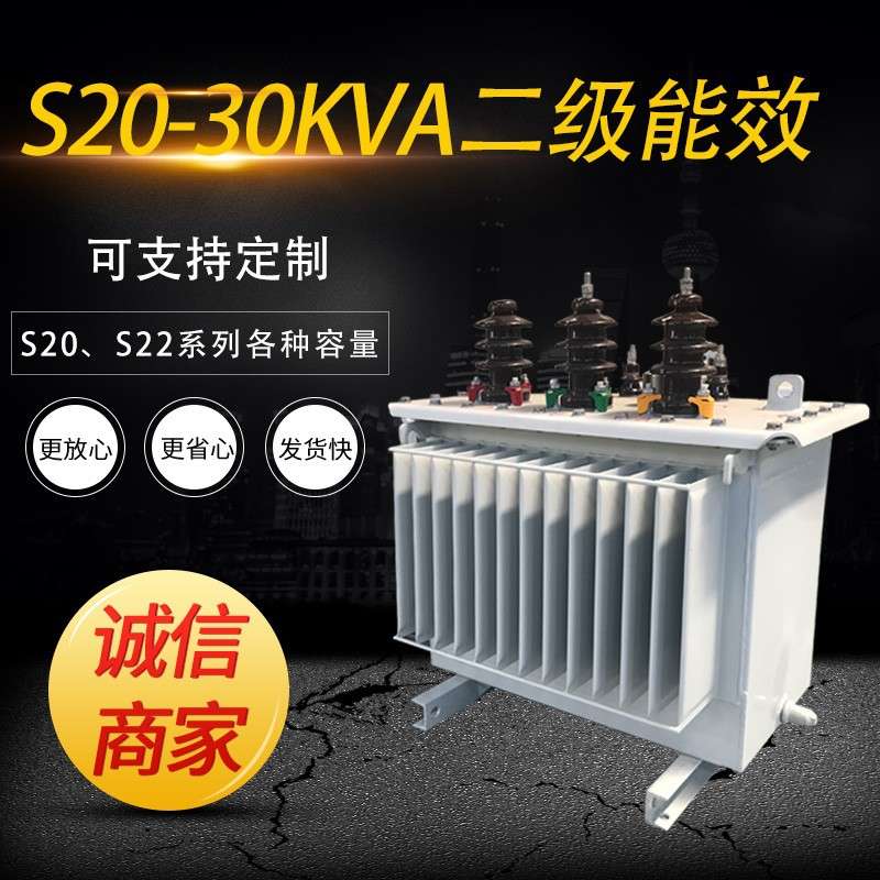 节能二级能效 S20-M-30kVA/10/0.4kV-NX2 三相油浸式电力变压器