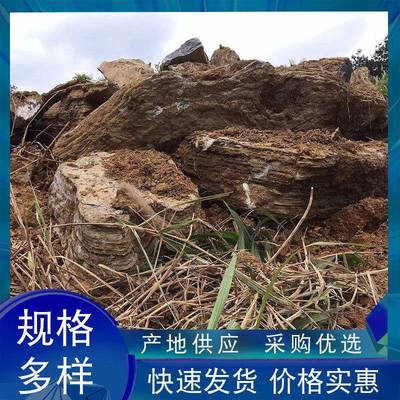 千层石天然假山石室内外景观石千层石假山造景花园驳岸流溪石