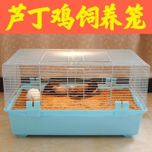 .芦丁鸡专用养殖笼家用发酵床笼子饲养箱养鸡仓鼠鹌鹑60基础笼