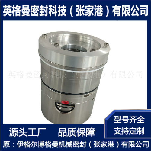 SE2C-55/124-QREG机械密封 SE2C机械密封 压力筛专用