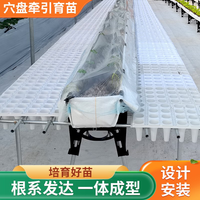 草莓穴盘牵引育苗设施育苗种植芽菜厂家设计高架草莓穴盘育苗设施