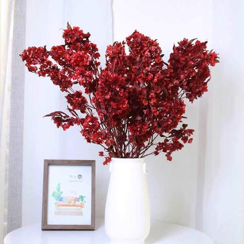 迎客豆蝴蝶花干花花年宵花过年节日红色喜庆客厅装饰插花真花