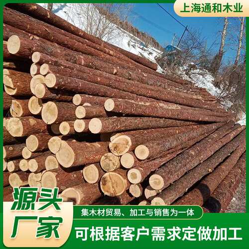落叶松圆木桩河道护坡打桩木土建工程地基木桩加固松木桩