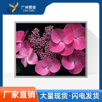 夏普15英寸液晶屏LQ150X1LG91液晶模组16寸21.5寸27寸LCD显示屏幕