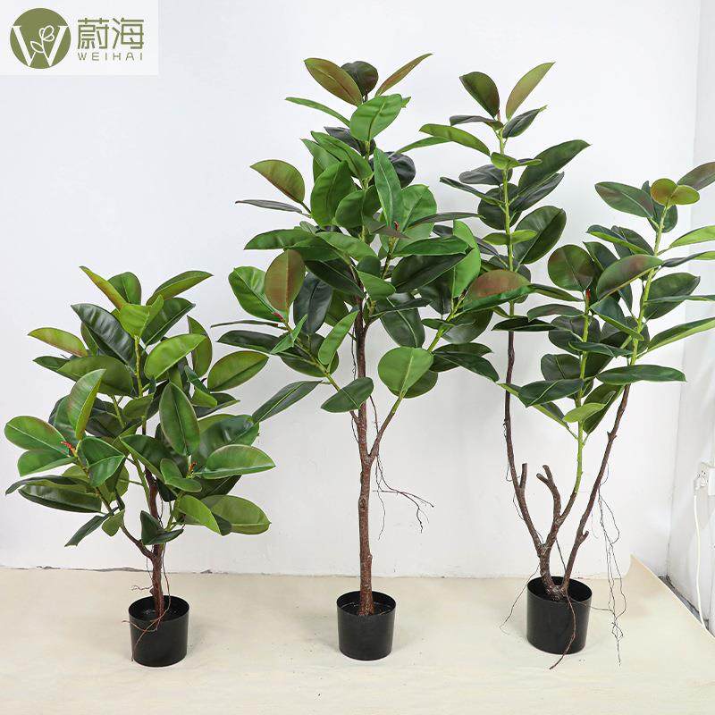 橡皮树北欧仿真绿植盆栽园林植物懒人盆栽虎皮兰仿真树龟背旅人蕉,机械设备,其他机械设备,淘宝优惠券,粉丝福利购,淘宝优惠卷