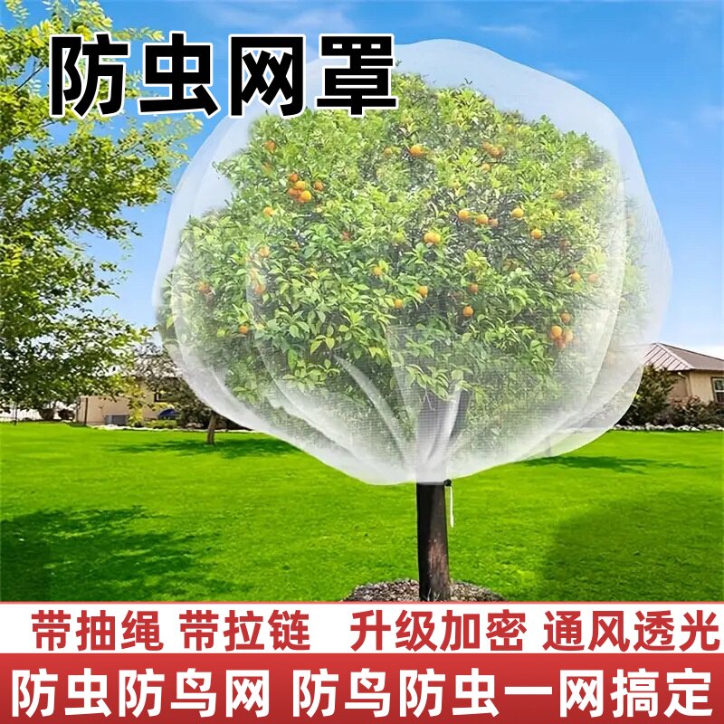果树防虫防鸟网罩植物盆栽果园用