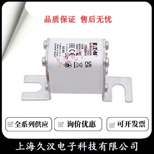 2617 2616 2618 2619 保险丝 熔断器170M2614 2620 2615