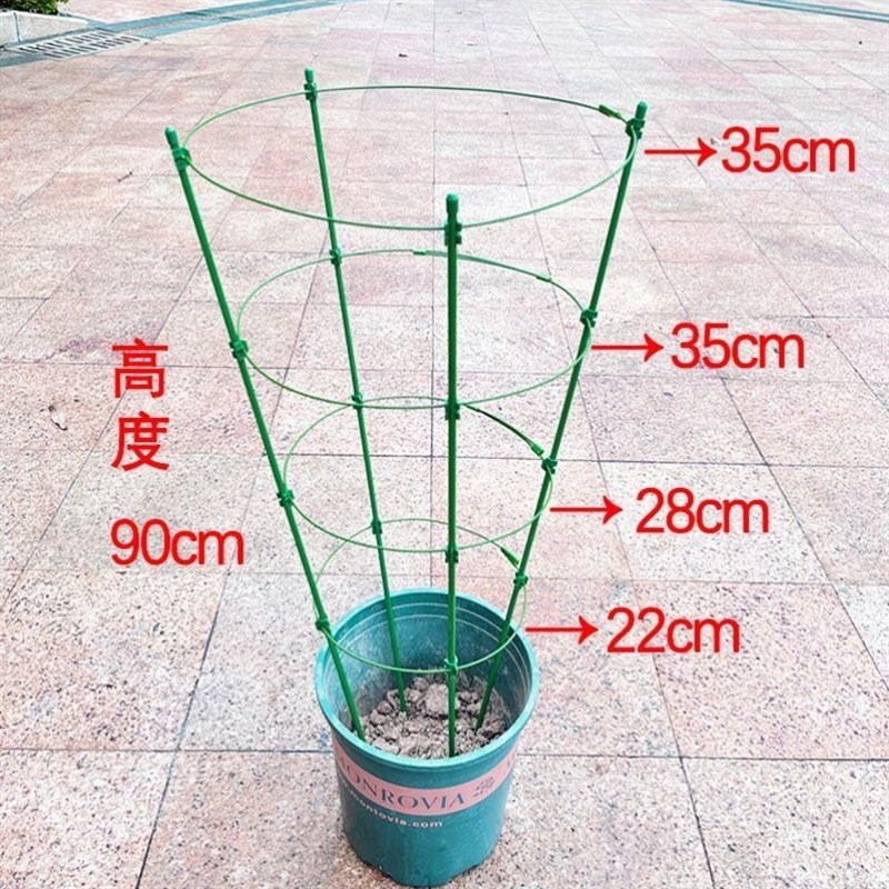 昙花专用支架爬藤花架月季蟹爪兰黄金葛可伸缩阳台绿植攀爬花卉支