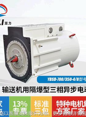 厂家防爆型三相异步电动机YBSD-700防爆电机高压绕线电动机