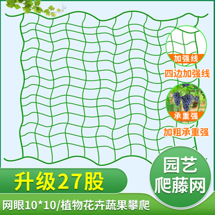 家用园艺网豆角爬藤网绳户外庭院黄瓜攀爬架加强版尼龙网