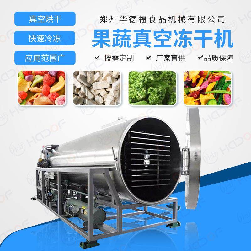 大型真空冷冻干燥机全自动芒果桑葚真空冻干机药草冻干设备