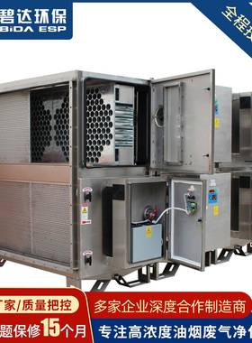 厂家直销DINP烟气净化器工业制造业废气处理器按键吸附油雾净化器