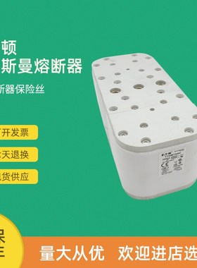 全新快速熔断器保险170M7640 170M7645 170M7649 170M7651