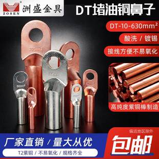50光伏铜接线鼻子铜接线端子线耳接头镀锡厂家 DT铜鼻子16