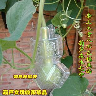 16cm大葫芦八不正亚腰葫芦范制生长定型模具人参果瓜果新款送螺丝