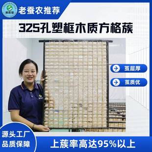老蚕农推荐325孔塑框木质方格蔟162孔165孔蚕网蚕具纸质方格蔟