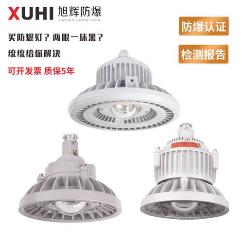 50W/200WLED防爆灯防腐防爆投光灯荧光灯厂房仓库适用照明灯