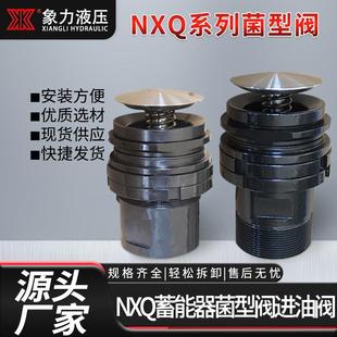 厂家直供NXQ蓄能器进油阀菌型阀蓄能器组件40L螺纹法兰型进油阀