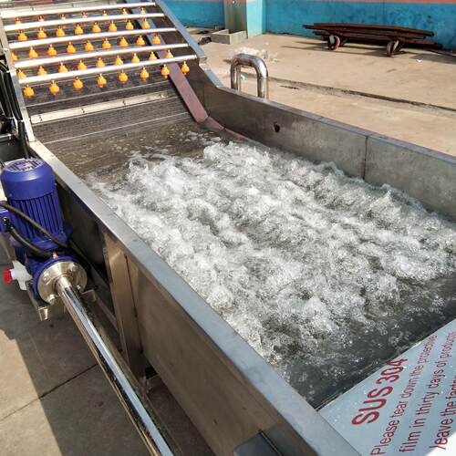 水浴蔬菜喷淋式 清洗机QX-3000 动输送水果清洗流自水线汇康专业