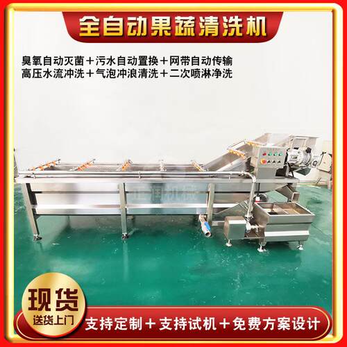 商气泡冲浪姜生喷清洗机 高压淋板姜清洗机 新款红YTW凤菜用清洗