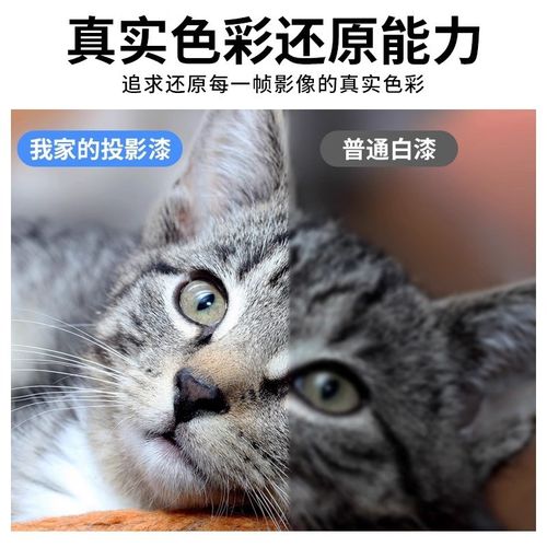 投影漆幕布抗光高清荧幕漆投影专用墙面漆家用电视背景墙油漆涂料