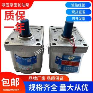 F306 ALP液压泵CBW CFP高压泵油泵 F310 合肥长源液压齿轮油泵CBW