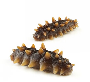 【基地严选】6头即食海参大个头6个一盒一斤，共2盒