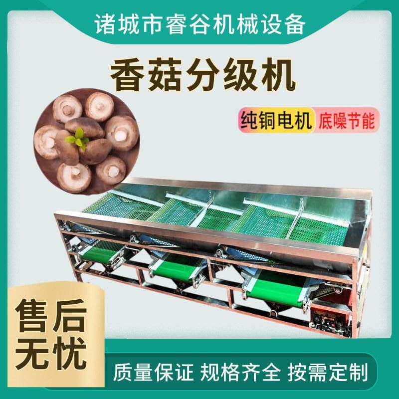 效孔带式选蘑菇机 香菇分级设备 全自动蘑菇大小分拣孔带分选机
