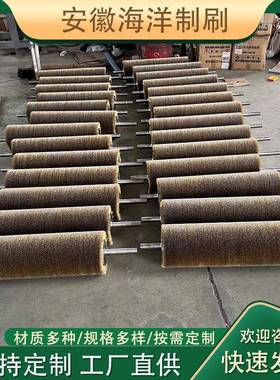 钢丝辊镀铜钢丝滚刷抛光打磨除锈钢丝毛刷辊可定制