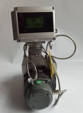 直销智能罗茨气体流量计TRMZ型气体腰轮流量计