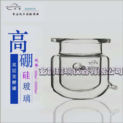生物发酵罐生物反应器1L2L3L5L10L